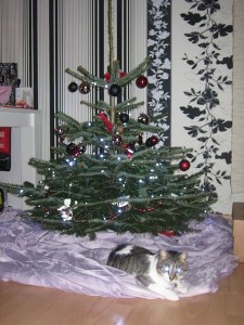 ../Images/Jacky 038.jpg
